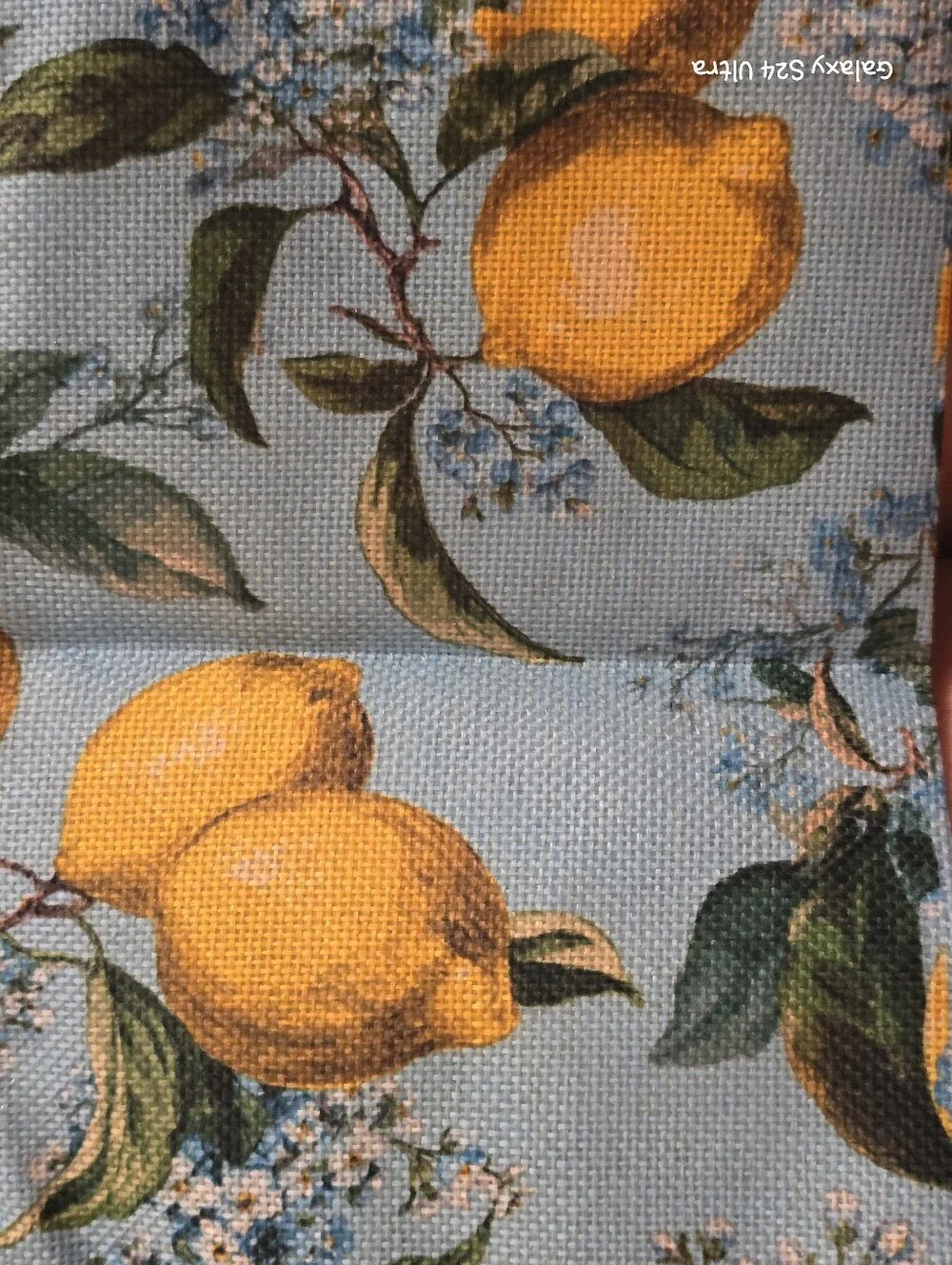 Lemon 🍋 Zip Everyday Cosmetics Makeup Pouch NEW